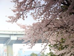 -南浦大桥长途旅游客运站