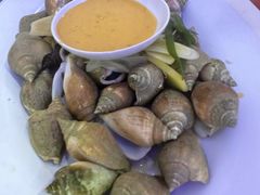 东风螺-大茄来海鲜餐厅(亚洲城分行)