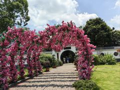 -东莞观音山旅游风景区