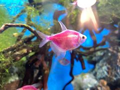 -海合安武汉极地海洋公园