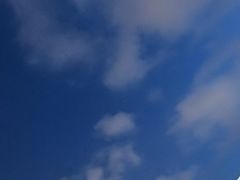 -金鸡岭桥头公园