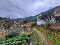 -杨家堂村
