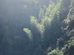 -将军关探险漂流