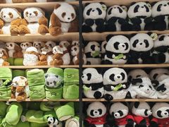 -The Green Party(珠海华发商都店)