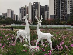 -德悦高风味餐厅