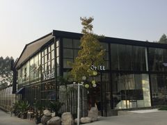 -桉树林A coffee 森林餐厅(三圣乡店)