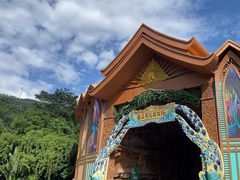 -西双版纳原始森林公园