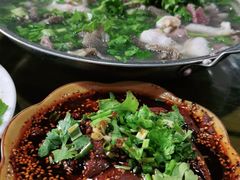-小杨翘脚牛肉