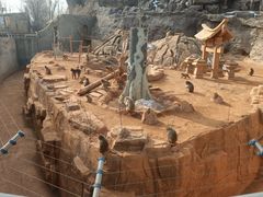 -辛玛王国游乐园