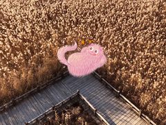 -野鸭湖国家湿地公园