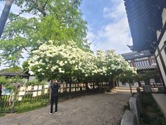 -常熟方塔园