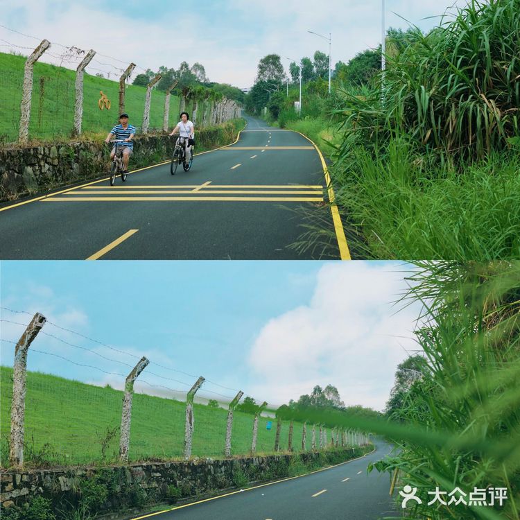 马峦北路.深圳又一条小众的日系片公路！