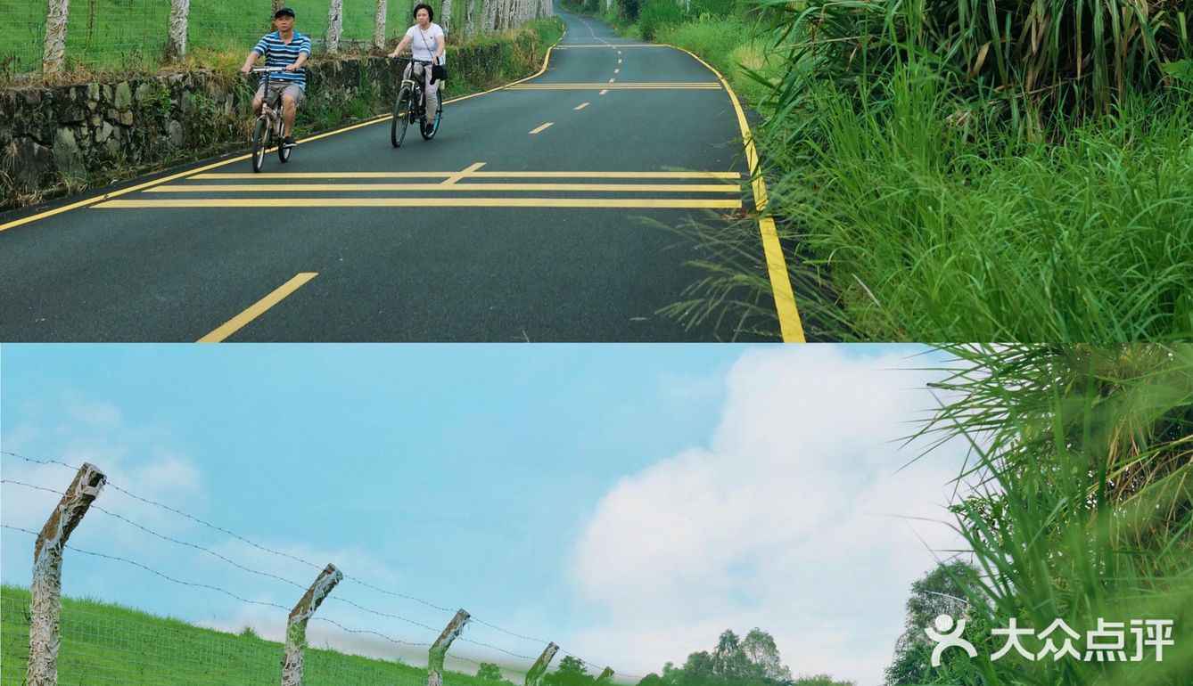马峦北路.深圳又一条小众的日系片公路！