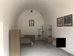 -延安杨家岭革命旧址