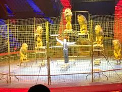 -珠海横琴长隆《卡卡虎奇遇记》