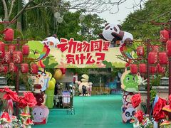 -灵玲国际马戏城