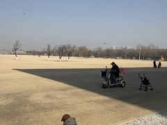 -大明宫国家遗址公园·御道广场