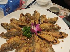 -虾饺妹·酒家(金碧店)