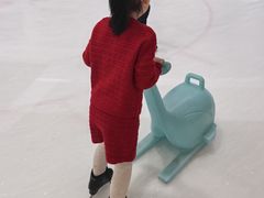 -冰纷万象滑冰场(沈阳万象城店)