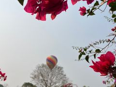 -中国科学院西双版纳热带植物园