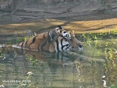 -新疆天山野生动物园