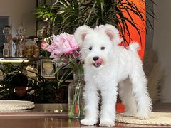 -seeu coffee(江滩店)