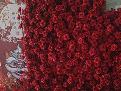 -洛阳宴·洛阳菜(南昌路店)
