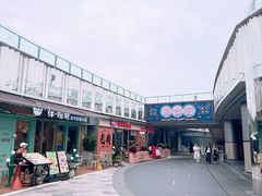 -野狸岛