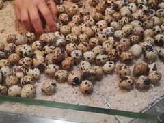 -大润发(王庄店)