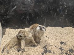 -太平洋海底世界