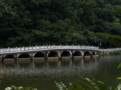 -深圳仙湖植物园