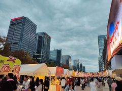 -合景·悠方(成都店)