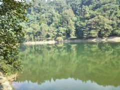 -江西阳明山国家森林公园