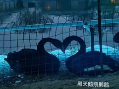 -春晖园度假酒店温泉