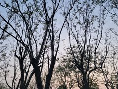 -广富林郊野公园