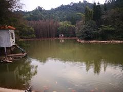 -滴水岩森林公园