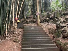 -凤栖山