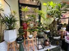 -溪岸路花鸟市场