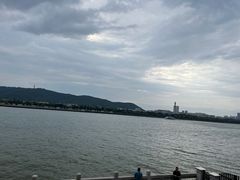 -杜甫江阁