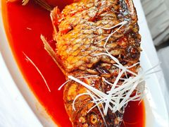 罾蹦鲤鱼-红旗饭庄