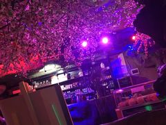 -青藤汗蒸时代会所