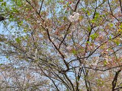 -西北湖绿化广场