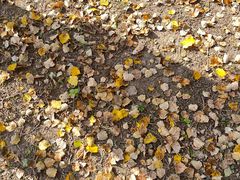 -长春公园(普阳街道)