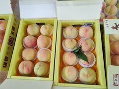 -南汇水蜜桃采摘(大团店)