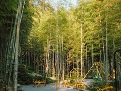-东明山森林公园