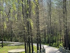 -溱湖国家湿地公园