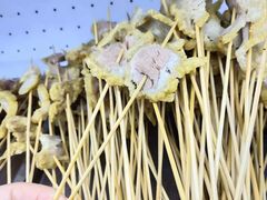 -镇江龙·火锅串串(武侯祠店)