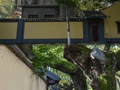 -颐和路民国时期公馆风貌区