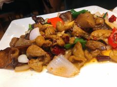 -三猫黑鱼花(南大店)