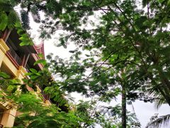 -西双版纳融创皇冠假日度假酒店